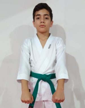 Henrique Borrero1