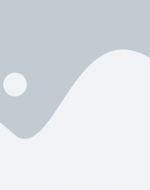 placeholder (1)